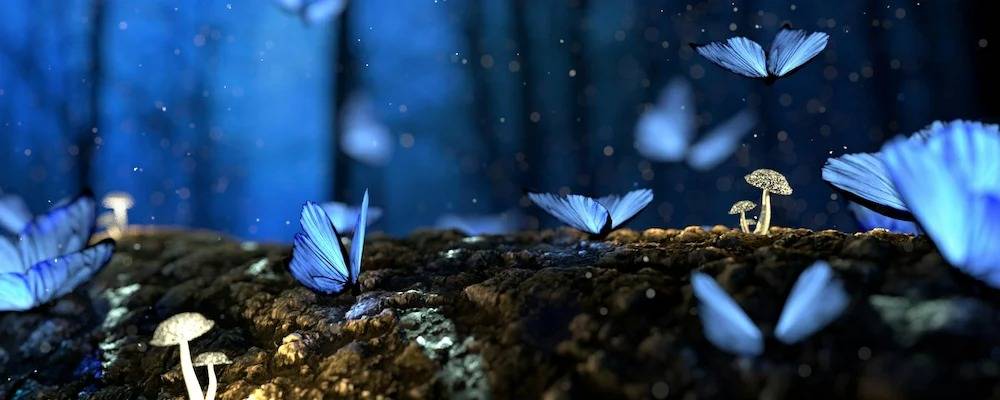 How to Write Fantasy Fiction: A Beginner's Guide