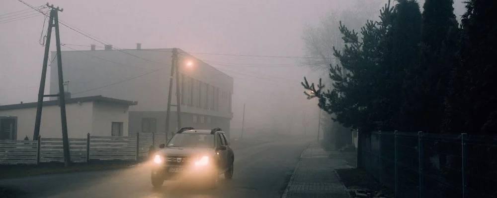 Teresa Fidalgo Is It Real? What You Need To Know